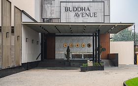 Buddha Avenue